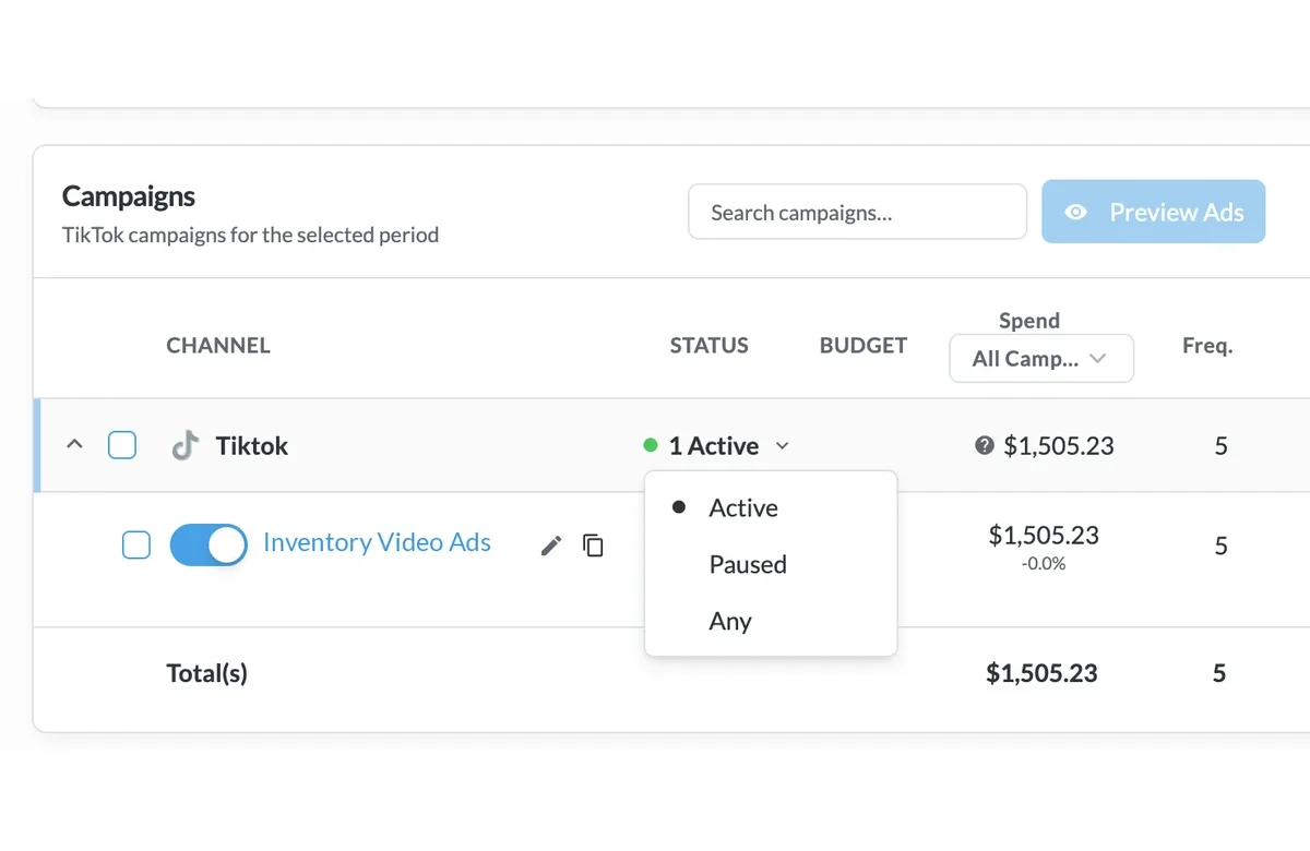 TikTok campaign manager with on and off toggle, status filter and Preview Ads button